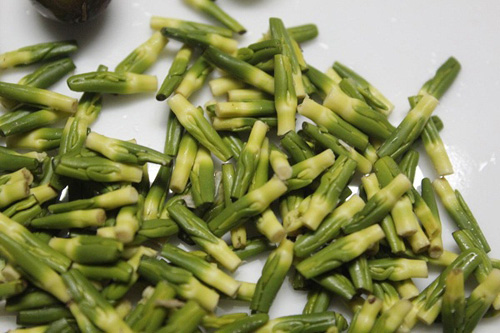 6 cây thuốc nam hỗ trợ điều trị mất ngủ cực tốt hiện nay