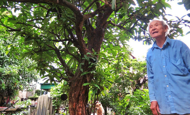 Đến thăm vườn thuốc nam cuối cùng ở Đại Yên