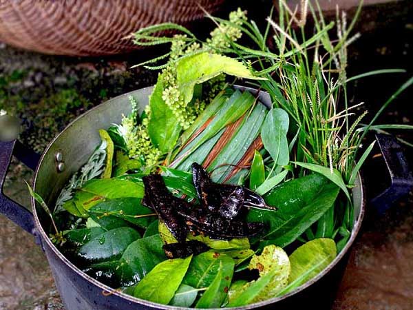 Bài thuốc nam trị cảm cúm