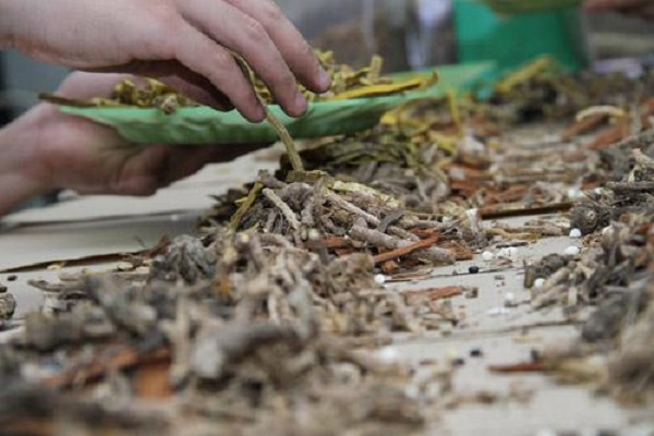 Uống thuốc đông y mua trên mạng nhiều người đã phải tức tốc nhập viện