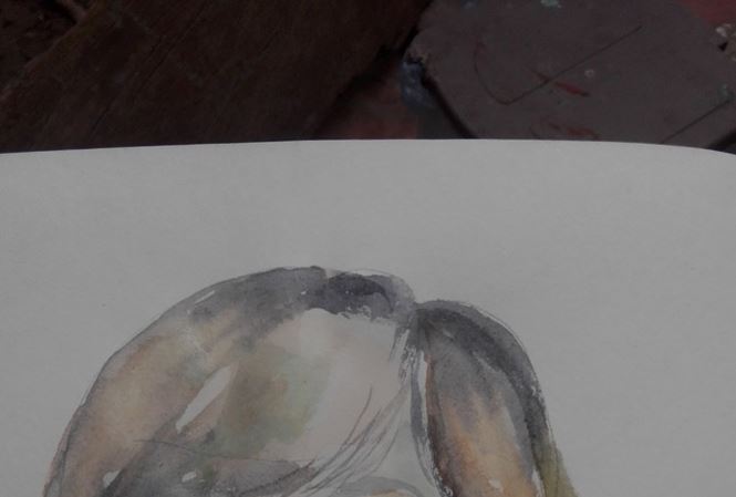 Giáo sư khi 35 tuổi và cây thuốc chữa ung thư